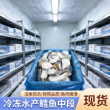 俄罗斯水鳕鱼 冷冻水产鳕鱼中段自助餐饭店餐饮商用批发零售