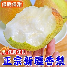 香梨梨子10新疆薄甜库尔勒香梨源自新疆斤脆青皮35新鲜水果二级