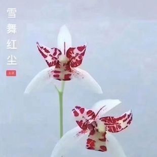 ���m��Ʒ�m�������ϲ�����ļ��m�����m���ļ������������ͻ���