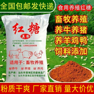 20tǫFBֳiţuZrɢblʳƷtǷl