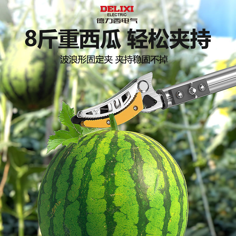 Delixi Electric 果物摘みはさみ、庭の果樹摘み、ライチとリュウガンの高所摘み、伸縮ポール果物摘み|undefined