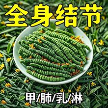 【老方子】全身结节夏枯草猫爪草陈皮搭蒲公英结汤玉米须养生花茶