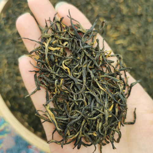New Tea: Richly Fragrant Black Tea with Longan Flavor, Small-Leaf Variety, Loose-Packed for Wholesale—Golden Jun Mei Golden Bud Premium Grade, 500g