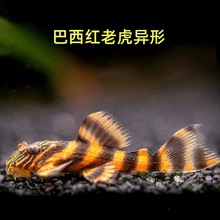 �����ԌmL333�����~������؈���R�׽������������~�Ꭷ�~���w