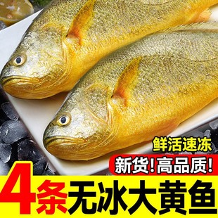 ��؛���S���~���r������rˮ�a�r����r���~����С�S�~�S�~������