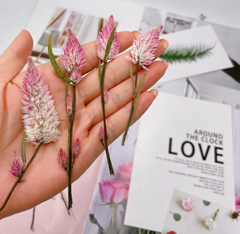 微信图片_20220919153921