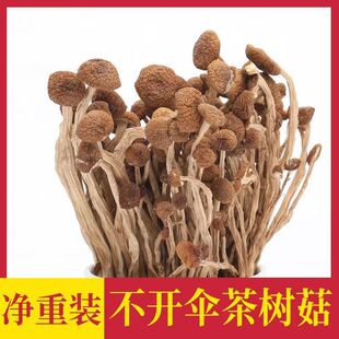 ��乽��؛����������؛���_��o������ɢ�b���l�����Ҝ�ʳ�þ�