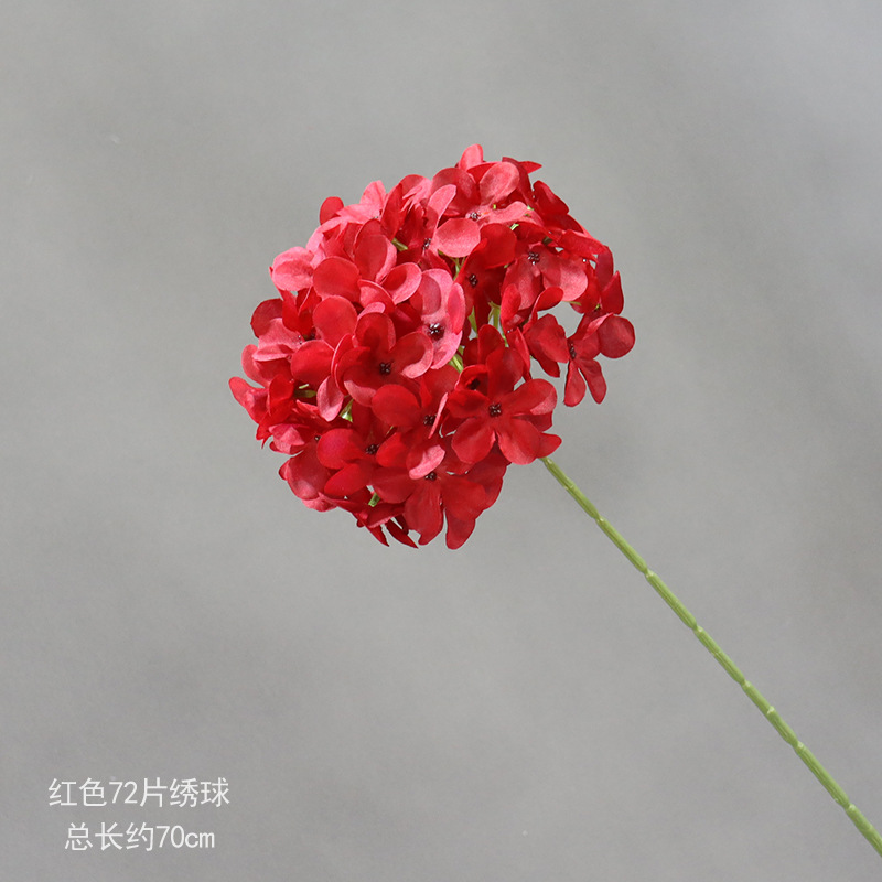 빨간색 72개 수국