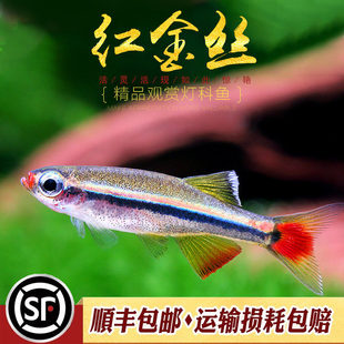 ��녽�z����ˮ�~�����~�^�pС�~��ˮԭ���~ϲȺ�����֑����~���w