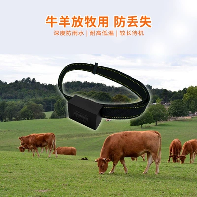 Cross-Border Gps Tracker for Cattle, Horses, and Sheep Wholesale, Baokangyuan Large-Capacity Gps Anti-Loss Tracking Collar for Grazing Use
