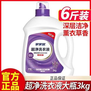 Jiajiayi Lavender Laundry Detergent, Soft and Fragrant, Hand Wash and Machine Wash, Large Bottle, Wholesale, Deep Cleaning for Students
