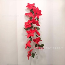 �}�Q�b�һƷ�t���滨�͏d���Լt�����q�������Gֲ����temu���l