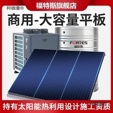 福特斯太阳能热水器平板承压式家用分体式光电两用 太阳能麦太保