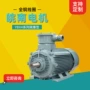 三相全铜异步系列电动机