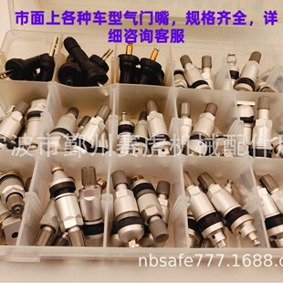 Various Models Tire Pressure Monitoring Valve Tpms Pressure Monitor Tubeless Valve