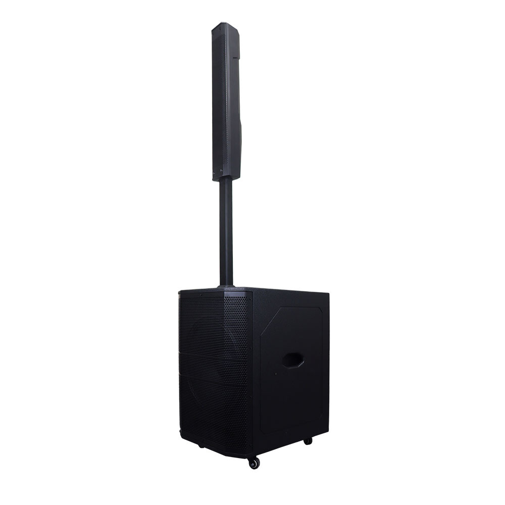 Caja de pintura profesional de alta potencia 400W con batería 12V 20A doble micrófono inalámbrico escenario de boda espectáculo al aire libre