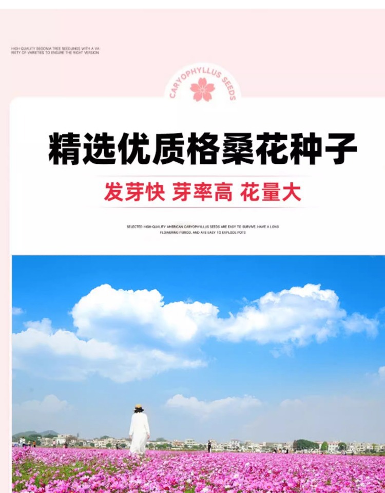 O1CN01b36yAH25nZdkWebJg_!!2214