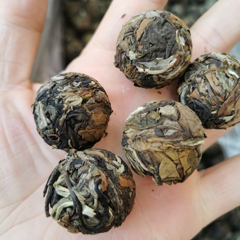 批发云南白茶2024年月光白散茶小龙珠 云南景谷500克散装茶叶