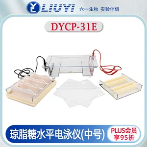 Beijing Liuyi DYCP-31E агарозный прибор для горизонтального электрофореза, идентификация среды, подготовка к разделению, электрофорез ДНК, нуклеиновых кислот