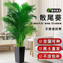 ���ڸ��FҬ�Ә��҃ȿ͏d�k���Ҵ��;Gֲ����ȩ�����՚�ɢβ������