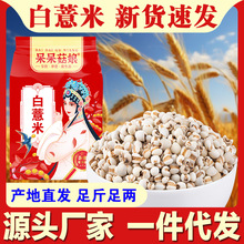 批发生薏米1斤小粒薏米薏仁薏苡仁现货散装红豆薏米茶原料谷物粮