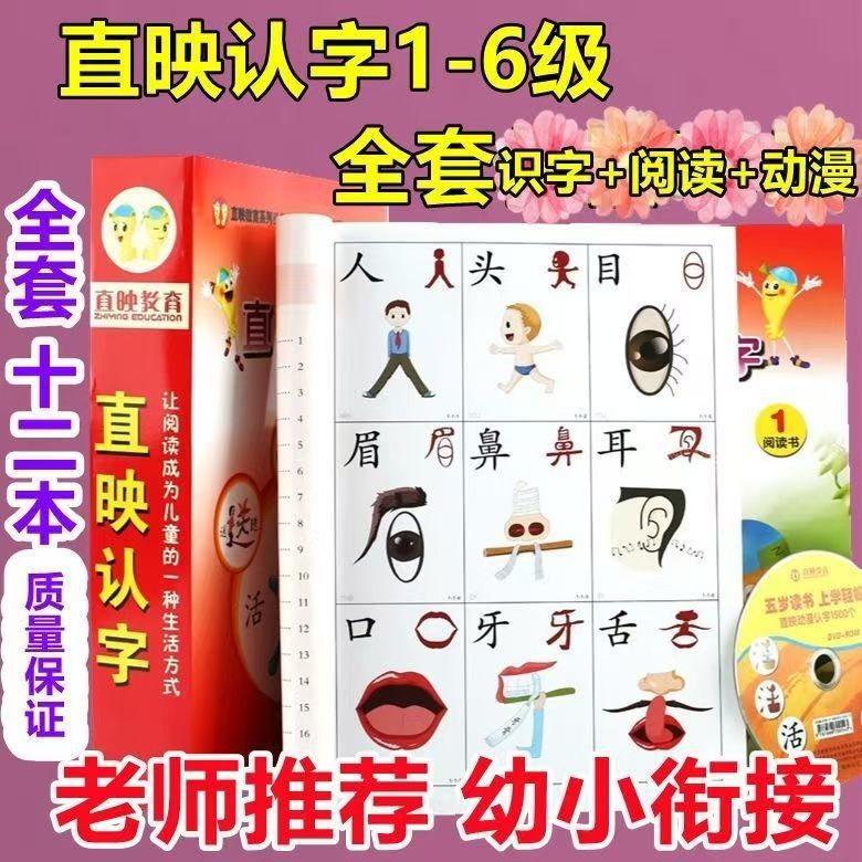 直印教育全套12册直映认字教材卡片儿童学前幼儿园阅读与识字书