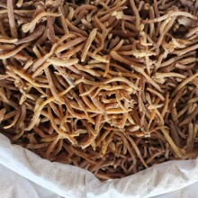 ��ͬ��ș�ġ��o�Ǽt���� �o��С�� �t��  ��ș�ĵ�ֱ�� ����ă�