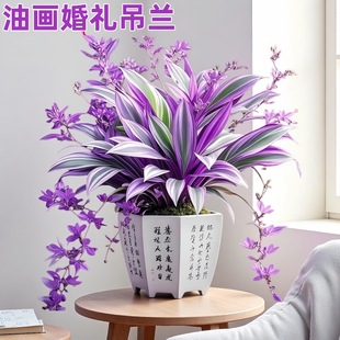 �ͮ���Y���m���������M�ڴ���������¶�m���B��Gֲ�҃ȶ���ֲ��