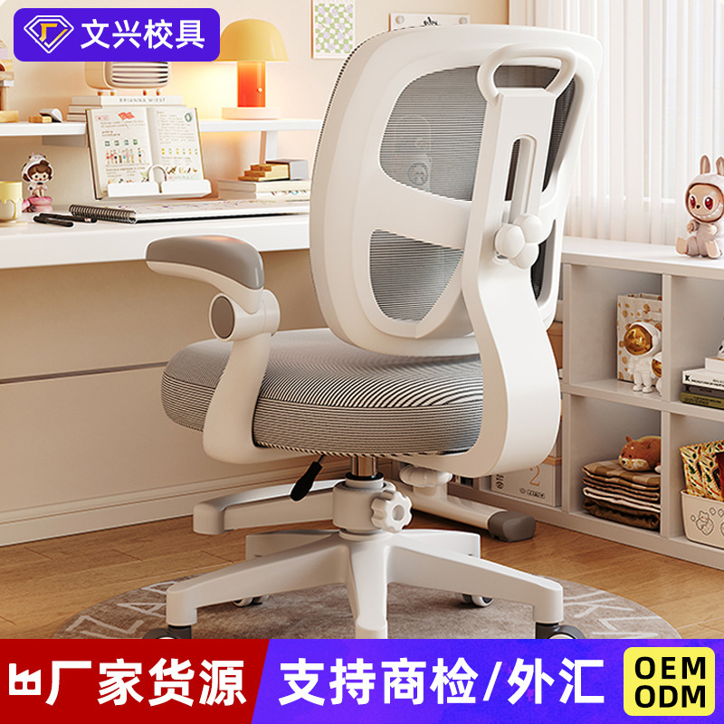 Children's Learning Chair for Primary School Students with Corrective Backrest Seat, Writing Desk Seat, Liftable Student Chair with Footrest