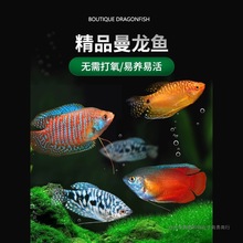 �����~�Ꭷ�^�p�~�S�����{�������Ѫ���������R�����С�͵�ˮ�~