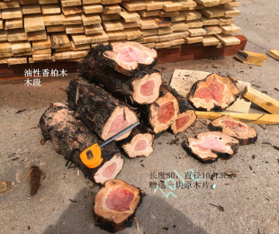 �t�����ľ�̰� ���؈A�� ��ľ�uľԭľ�� ԭľ���p�[������ľ��