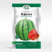 �������������8424����������Ϸ������߲����������ļ������ȫ