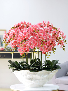 �ͺ����m�����b�ٻ��������ϻ��Ƶ���ÿ͏d���P�b[�O