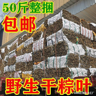 Manufacturer of Wild Dried Zongzi Leaves, Zongzi Leaves, Dragon Boat Festival Zongzi Leaves, Wholesale Kilograms, Commercial Dragon Boat Festival Wild Large Size