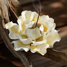 ���S�|�����z��������ĵ�����մ���往������ДU������޹�Ҿ�