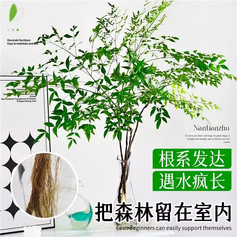 商品图