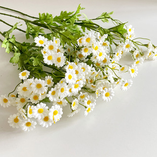 30�^��ʾշ��滨�r��С���¼Ҿ��b��ջ�ɭϵ��c���ÔzӰ����