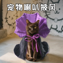 �羳�f�}�������·�С��Ȯ�������L׃���b̩��؈�䄓��������