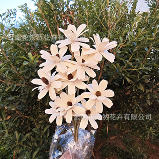 �ɻ����ӻ� ��ճ�� ���Ĺ��ӻ� �ɻ������仨���l�ֹ���