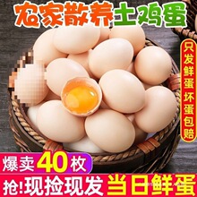 �ЋD��40öι�B���rɽ��������½���ö�u�����u���r��ɢ�B10