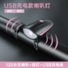Fuchsia megaphone charging