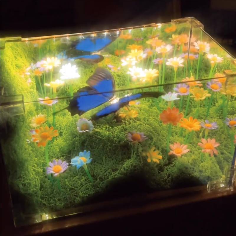 花海蝴蝶小夜灯手工diy自制材料包发光摆件居家桌面装饰七夕礼物|undefined