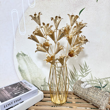 ��ɫϵ���Lֻ6�Ӳ�11�^�ٺ�����Ⱦ����滨��c�Y��·���bٻ�