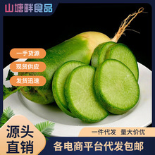 潍坊水果萝卜冰激凌萝卜生吃青皮紫皮萝卜5斤新鲜到家一件代发