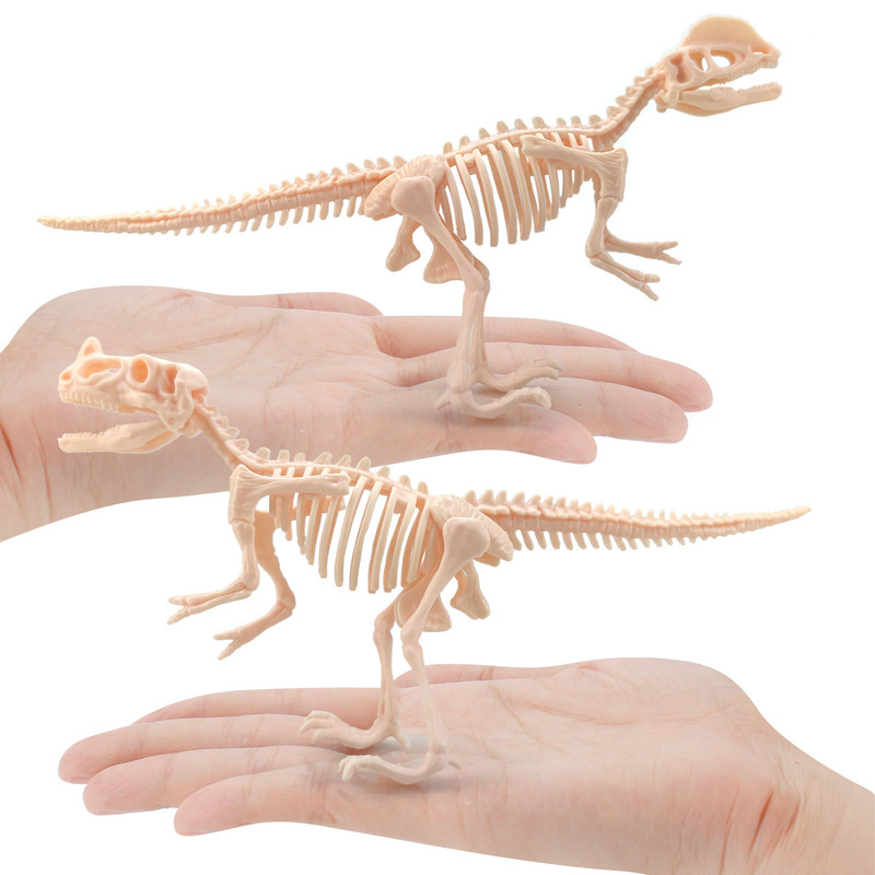 Dinosaur Skeleton Fossil Tyrannosaurus Rex Horned Nose Dragon Double Crown Dragon Assembled Model Kidsren's Handmade Archaeological Excavation Toys