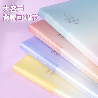 Libro DE DATOS KOKUYO color claro galleta cielo claro serie A4 inserto transparente 40 páginas