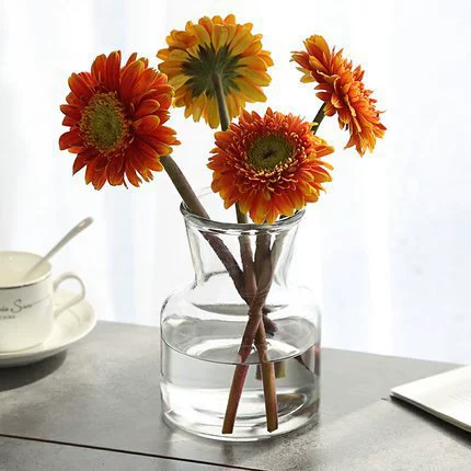 Стеклянная ваза украшения Гостиная Цветы в стиле Mini Extra Small Cyber Celebrity Гидропонная Флора Прозрачный смысл высокого уровня