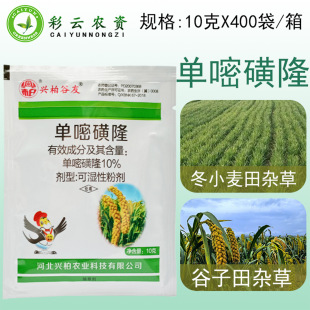 �d�ع���10%���׻�¡ С�׹�����ǰ���]ș��~�s�݌��ó��݄��rș