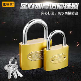 通开挂锁通用锁具门锁宿舍柜子锁子一把开锁钥匙多小号铜锁头迷你