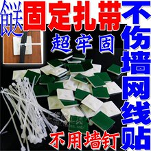 �� 60������ 60���̶��W�����N �̶��W���� �������治�����B8